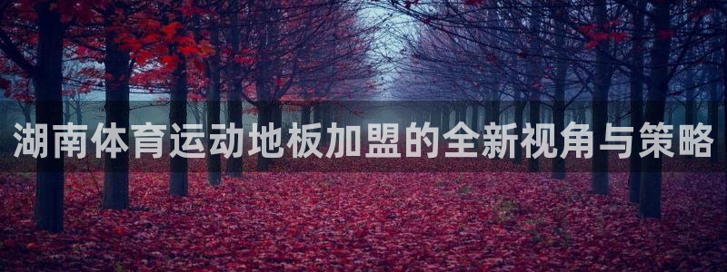 熊猫体育在线