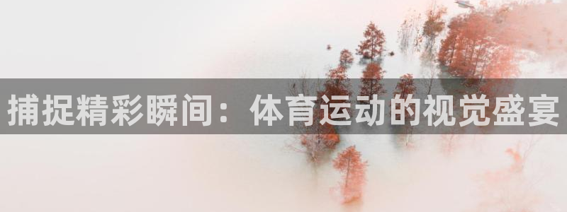熊猫体育网址：捕捉精彩瞬间：体育运动的视觉盛宴