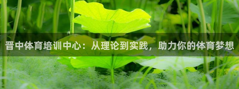 熊猫体育官网：晋中体育培训中心：从理论到实践，助力你的体育梦想