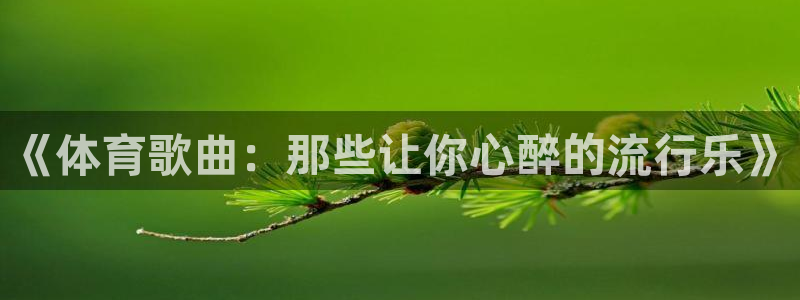 熊猫体育网址：《体育歌曲：那些让你心醉的流行乐》