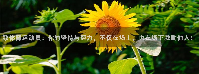 熊猫体育sports：致体育运动员：你的坚持与努力，不仅在场上，也在场下激励他人！