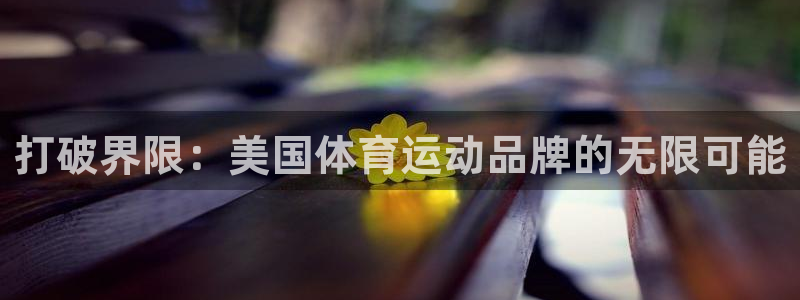 熊猫体育手机版：打破界限：美国体育运动品牌的无限可能