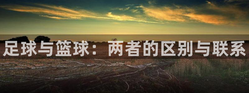 熊猫体育app官方下载最新版
