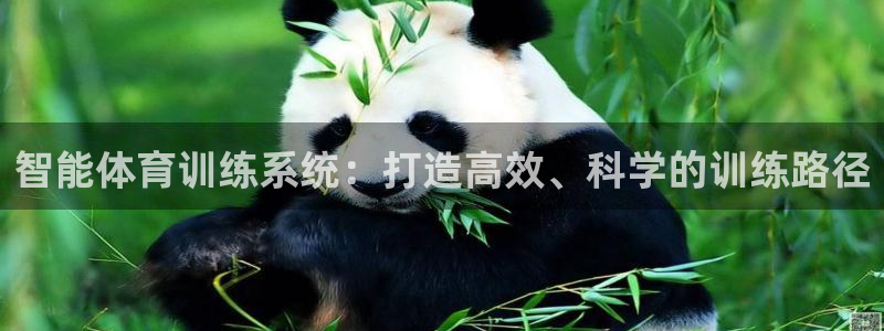熊猫体育网站