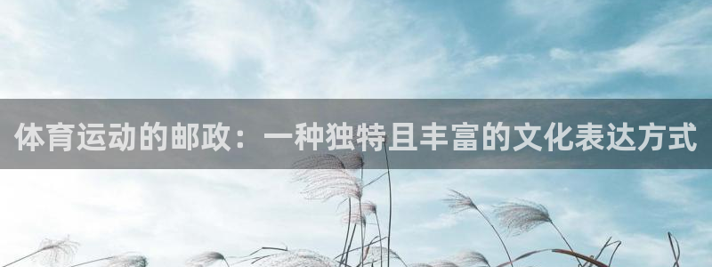 熊猫体育网站：体育运动的邮政：一种独特且丰富的文化表达方式