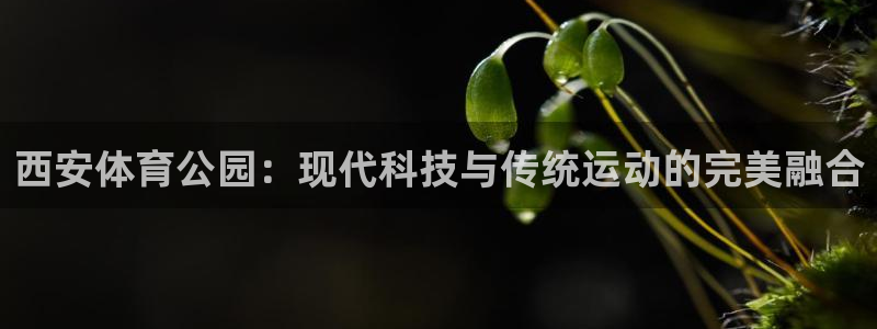熊猫体育平台：西安体育公园：现代科技与传统运动的完美融合