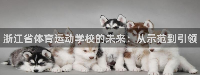 下载熊猫体育：浙江省体育运动学校的未来：从示范到引领