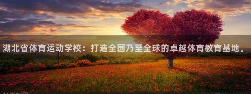 181熊猫体育：湖北省体育运动学校：打造全国乃至全球的卓越体育教育基地。