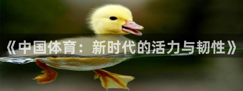 熊猫体育官网首页入口