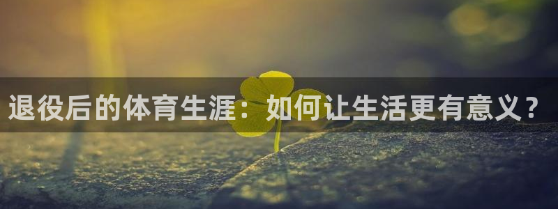 熊猫体育网址